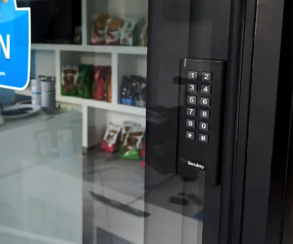 SECUKEY WS1-A