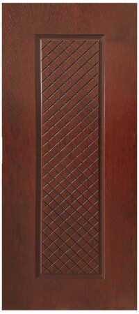 EX723 ΔΡΥΣ ΦΥΣΙΚΟ