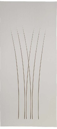 EX730 Ral με πατίνα